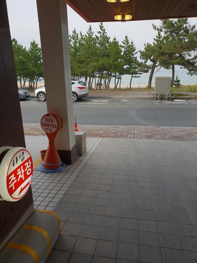 Time Motel Gangneung Bagian luar foto