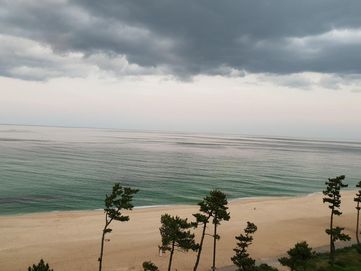 Time Motel Gangneung Bagian luar foto