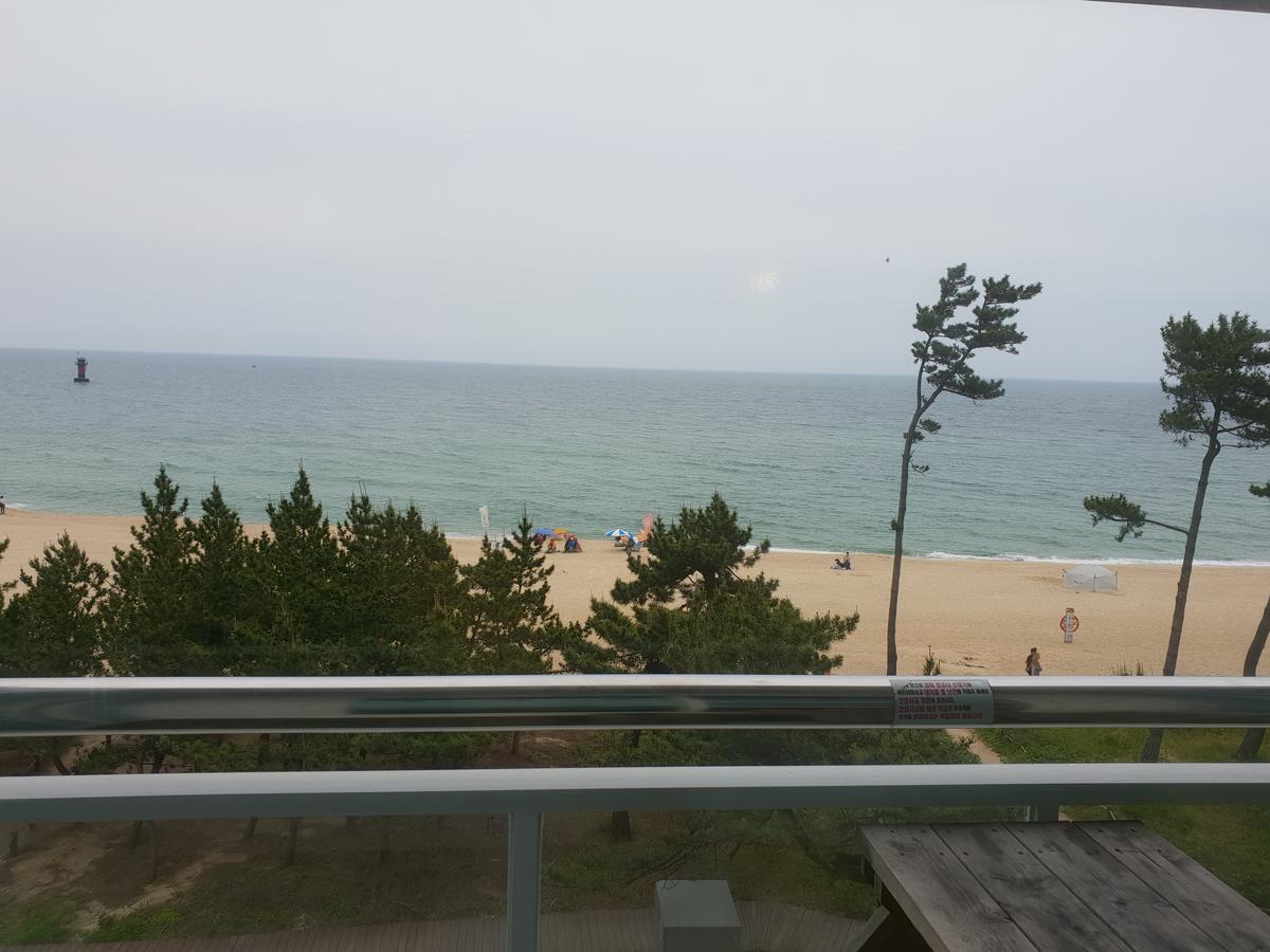 Time Motel Gangneung Bagian luar foto