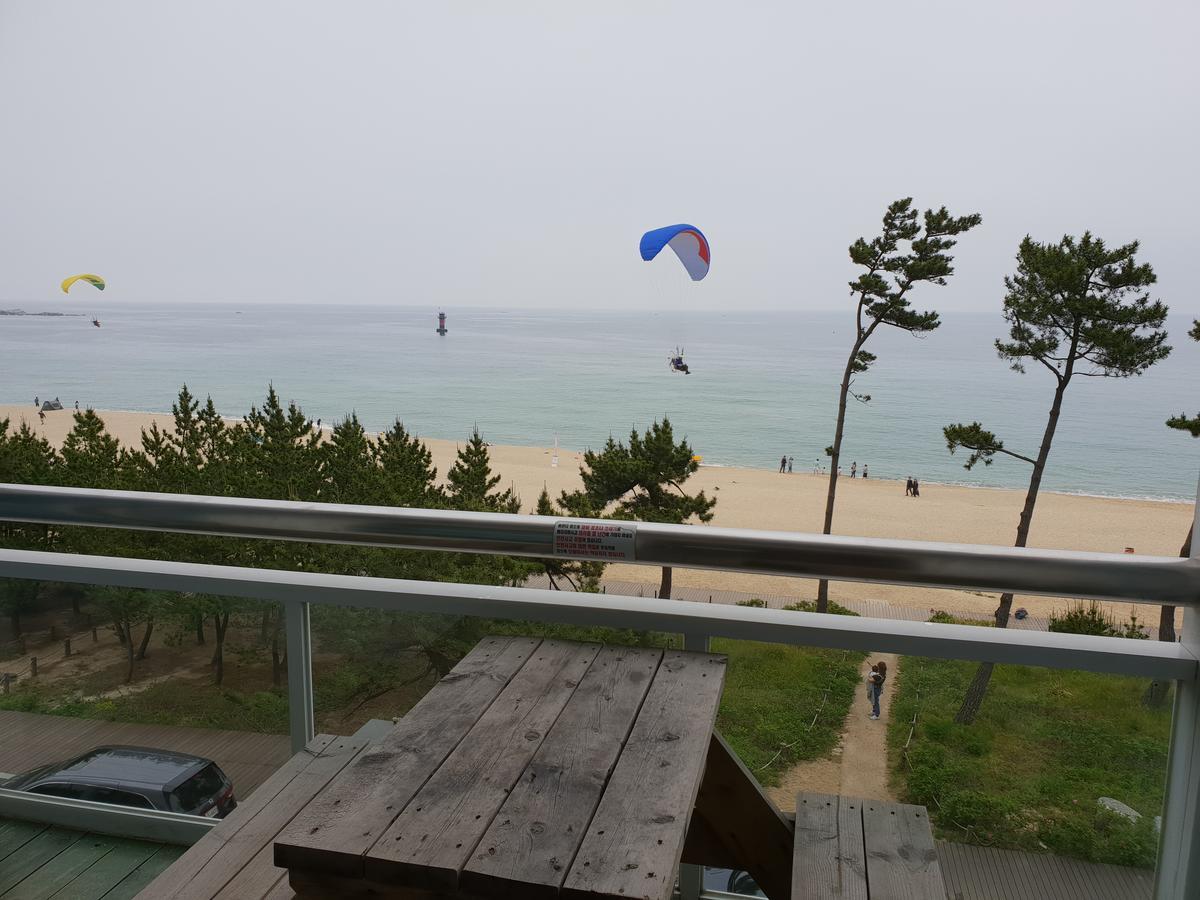 Time Motel Gangneung Bagian luar foto