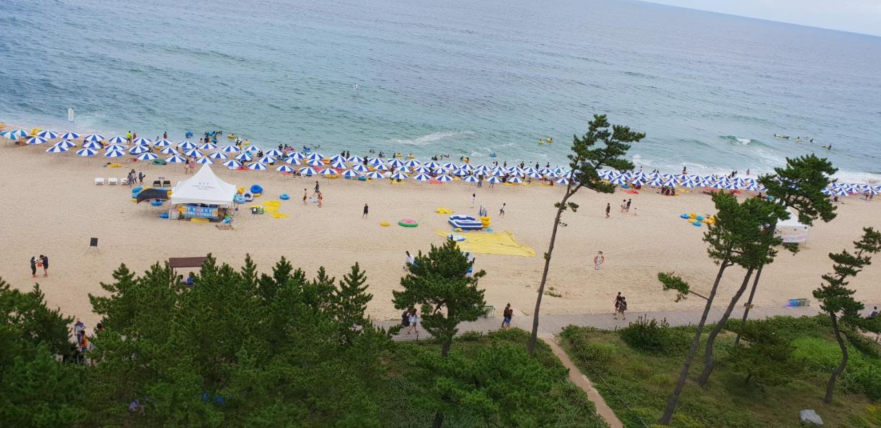Time Motel Gangneung Bagian luar foto