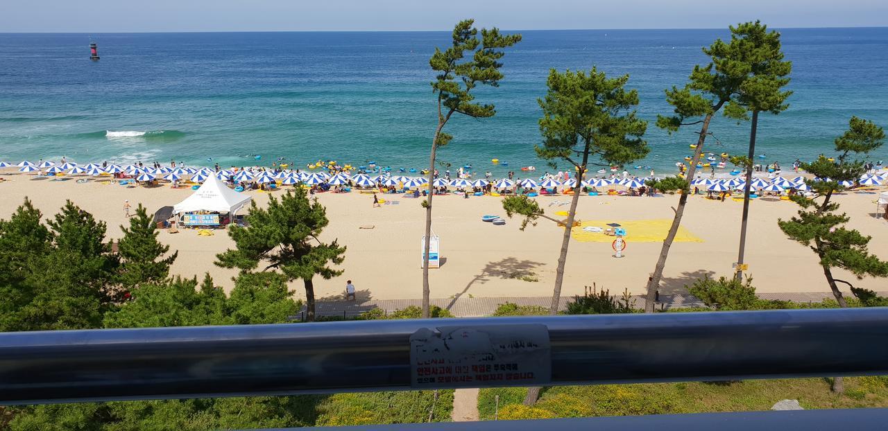 Time Motel Gangneung Bagian luar foto