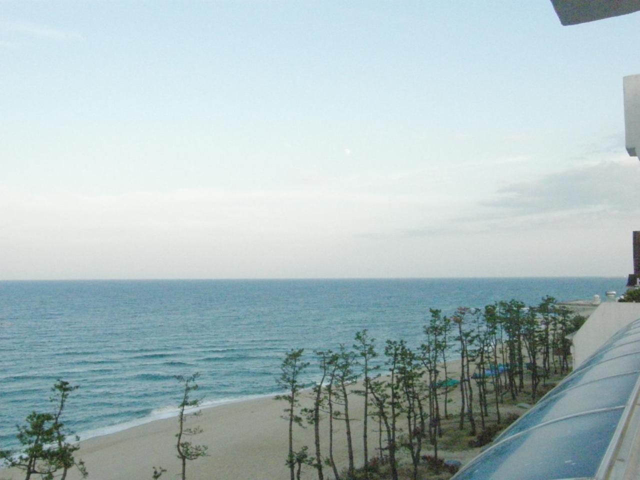 Time Motel Gangneung Bagian luar foto
